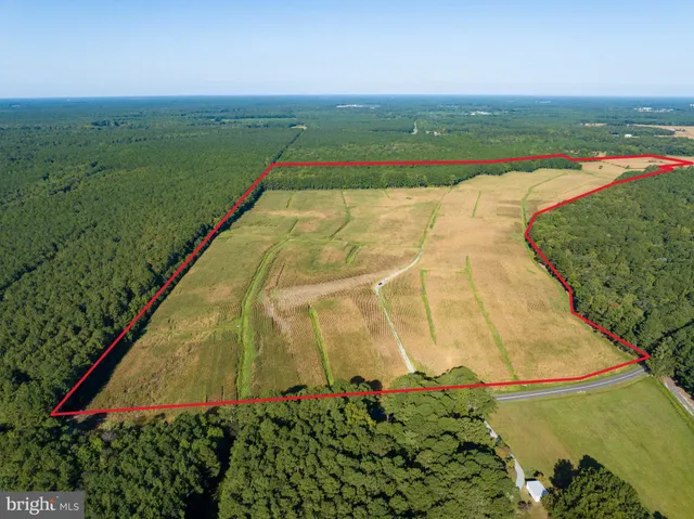 a view of a tennis court