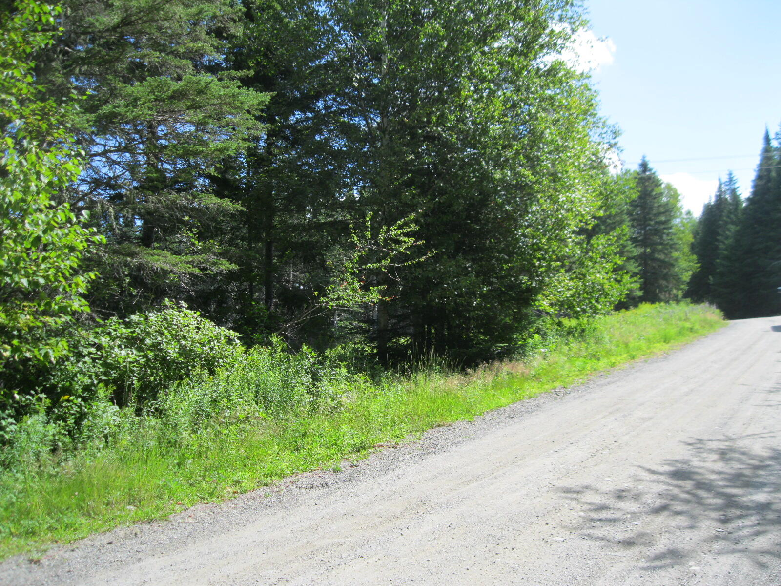 M7-l26 M7-l26 Loop Road Dallas Plt, ME 04970 - Photo 2 of 10 Howard - Overlook 010