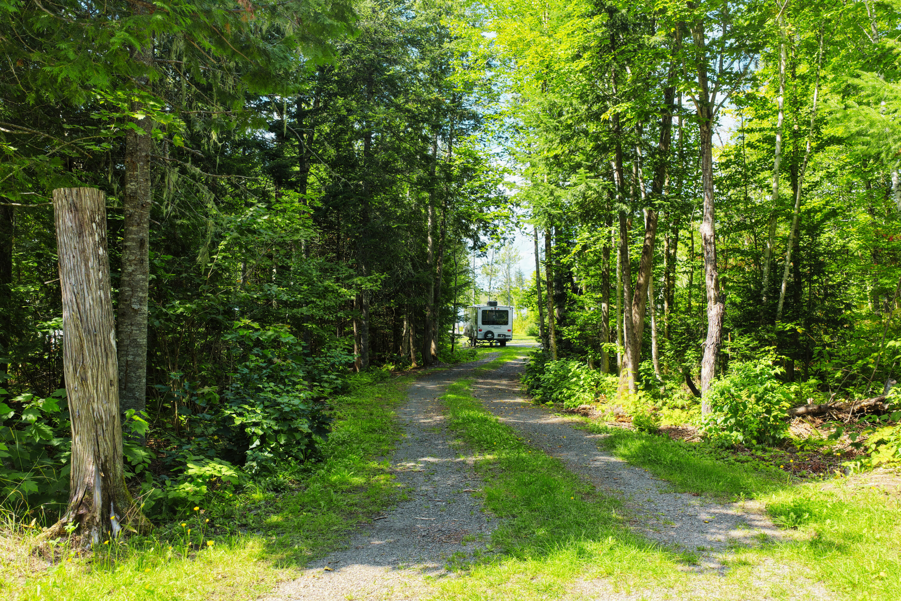 557 East Cottage Road Portage Lake, ME 04768 - Photo 4 of 6 557 E Cottage - Driveway