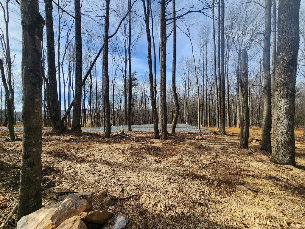 680 Little Bit Road, Unit 3 Hillsville, VA 24343 - Photo 22 of 25 Gallery Image 22