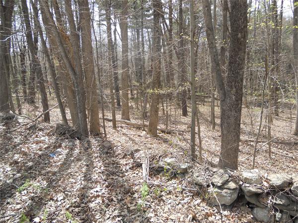 0 Morton Station Road Charlton, MA 01507 - Photo 3 of 6 Gallery Image 3