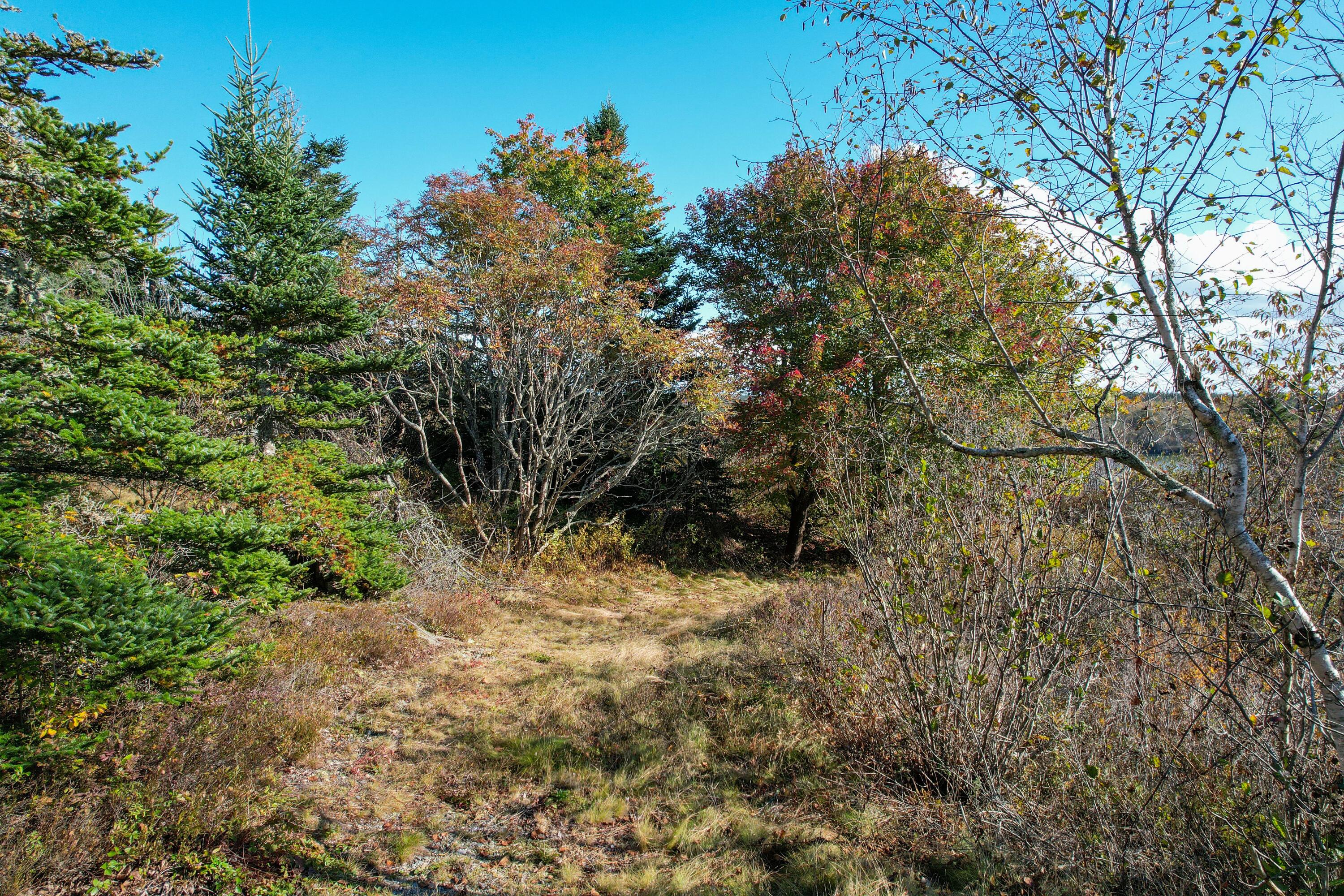 44 Rabbit Road Jonesport, ME 04649 - Photo 25 of 52 44 Rabbit Road