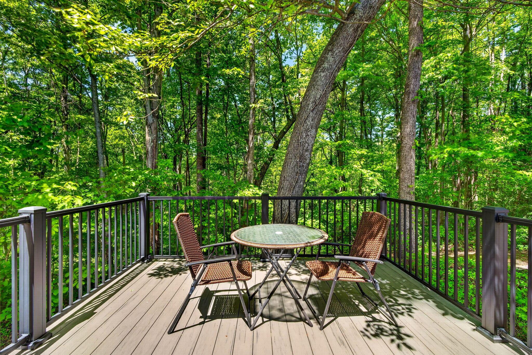 2198 Adelphia State Road Wellston, OH 45692 - Photo 49 of 53 49. Suite Deck
