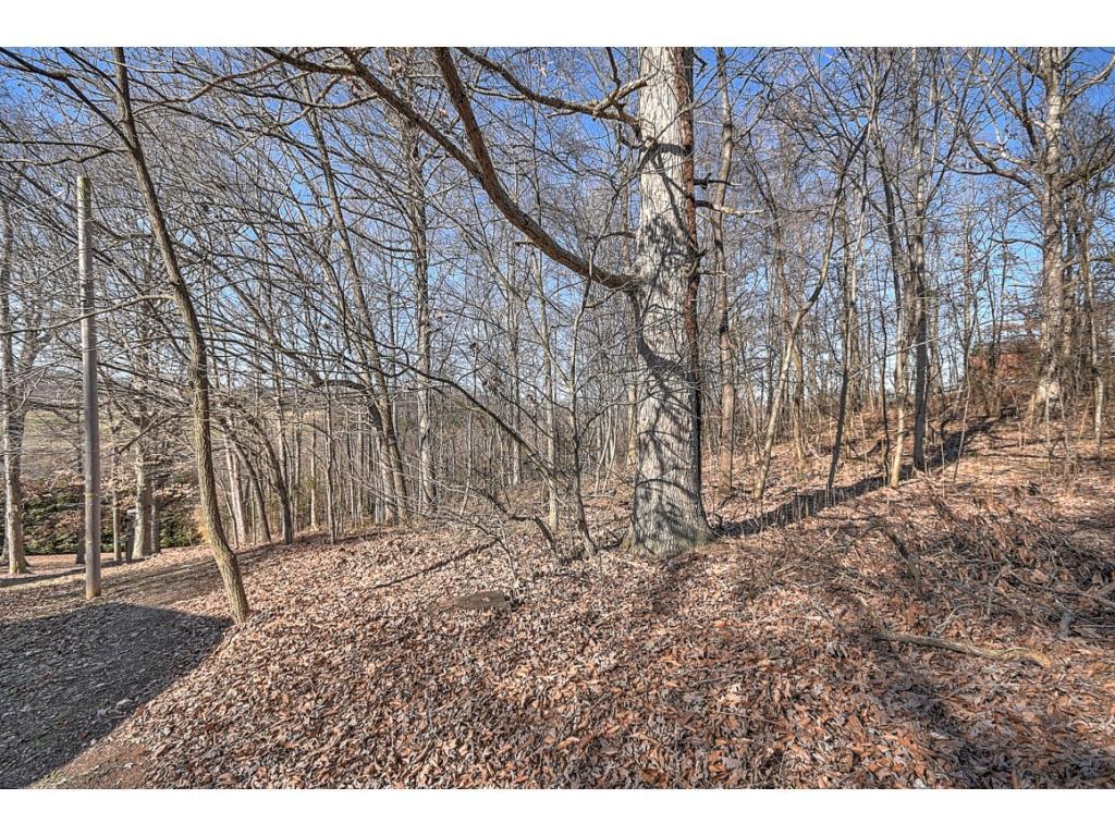 179 Eastern Star Road Kingsport, TN 37663 - Photo 17 of 29 Photo 18