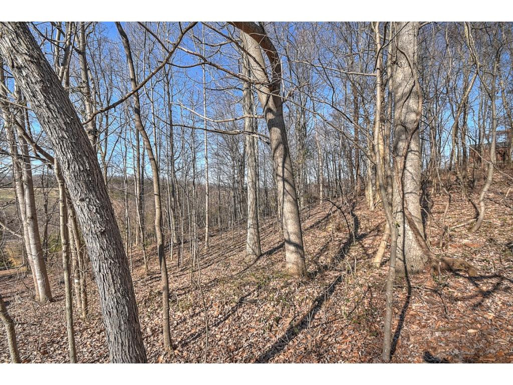 179 Eastern Star Road Kingsport, TN 37663 - Photo 20 of 29 Photo 22