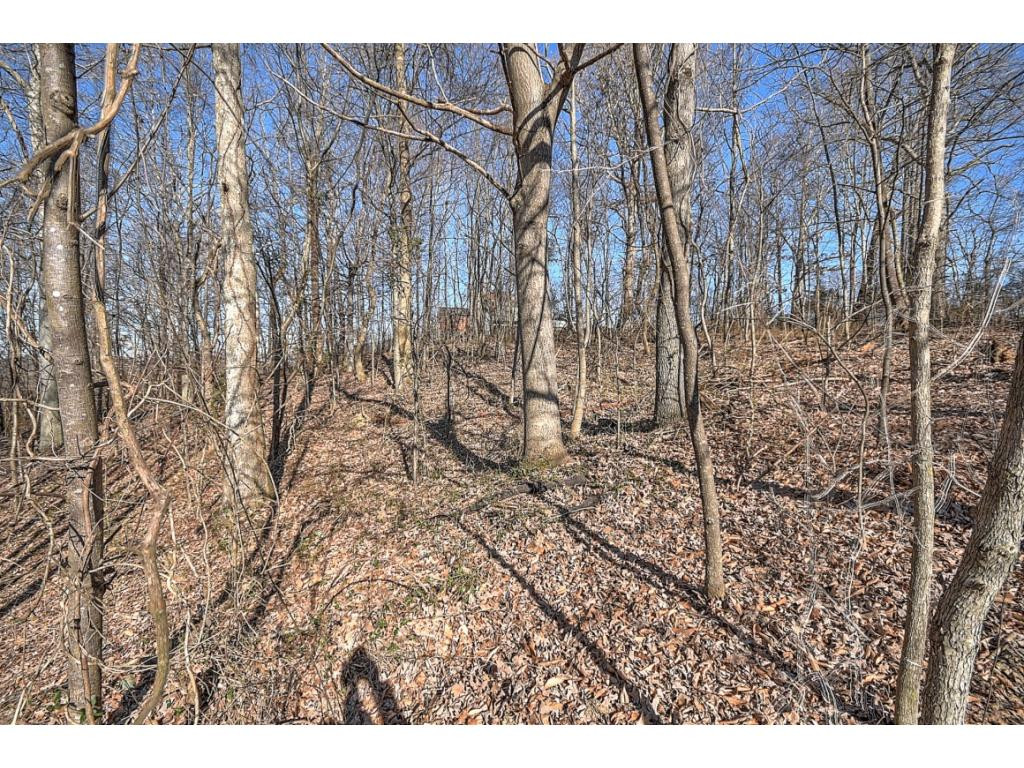 179 Eastern Star Road Kingsport, TN 37663 - Photo 23 of 29 Photo 25