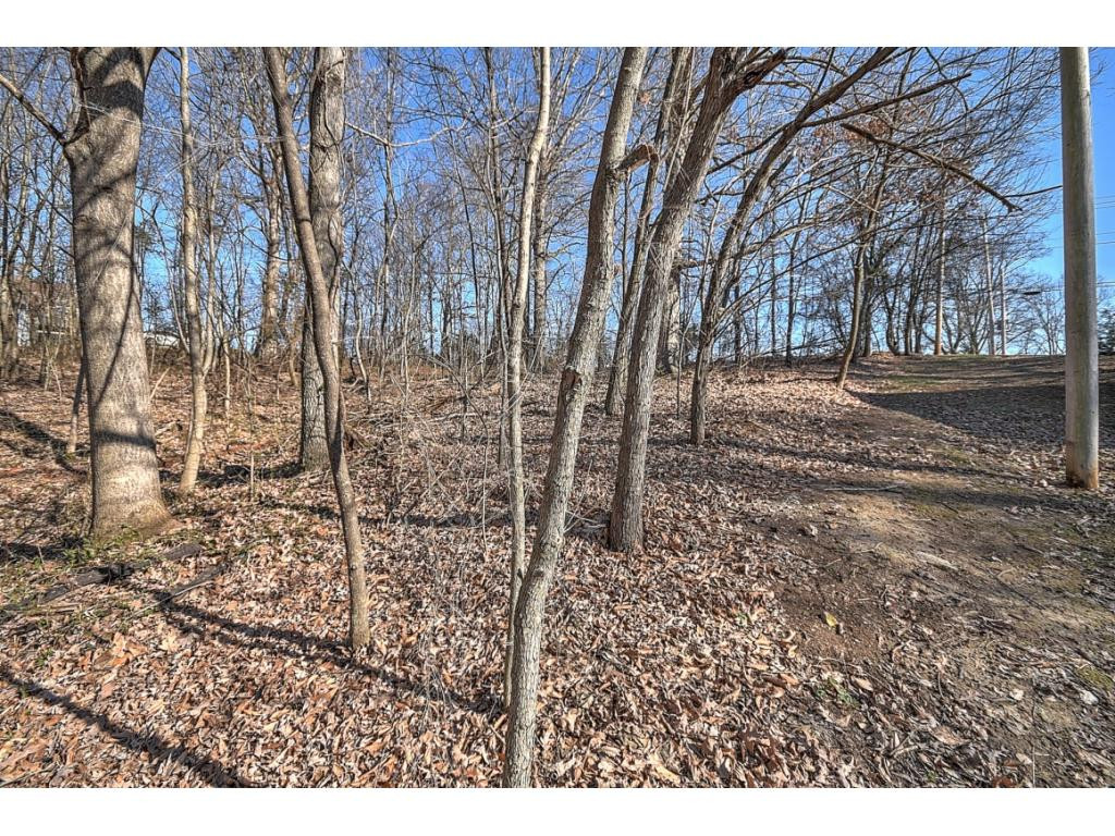 179 Eastern Star Road Kingsport, TN 37663 - Photo 24 of 29 Photo 26