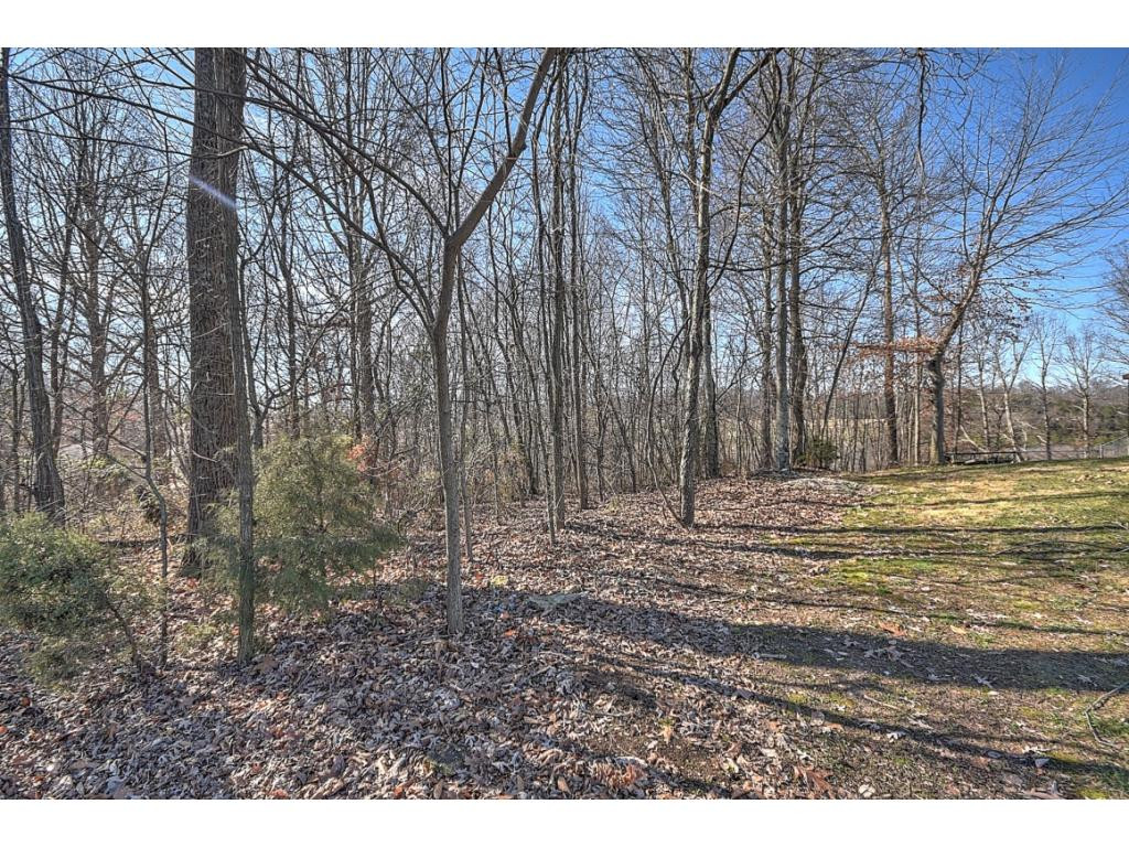 179 Eastern Star Road Kingsport, TN 37663 - Photo 29 of 29 Photo 31