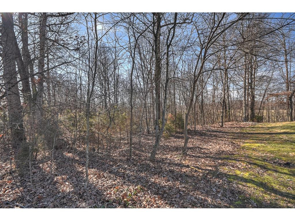 179 Eastern Star Road Kingsport, TN 37663 - Photo 3 of 29 Photo 3
