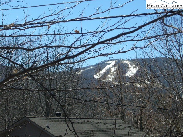 132 Lower Grouse Ridge Road Beech Mountain, NC 28604 - Photo 1 of 5 Gallery Image 1