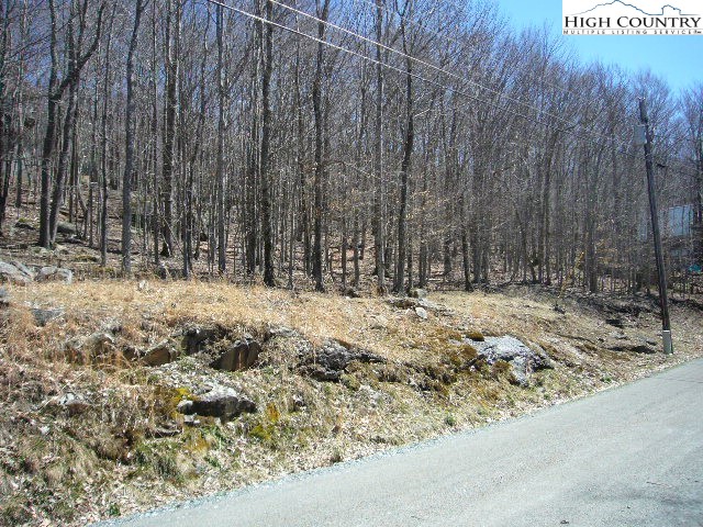 132 Lower Grouse Ridge Road Beech Mountain, NC 28604 - Photo 2 of 5 Gallery Image 2
