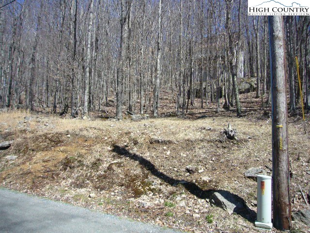 132 Lower Grouse Ridge Road Beech Mountain, NC 28604 - Photo 3 of 5 Gallery Image 3