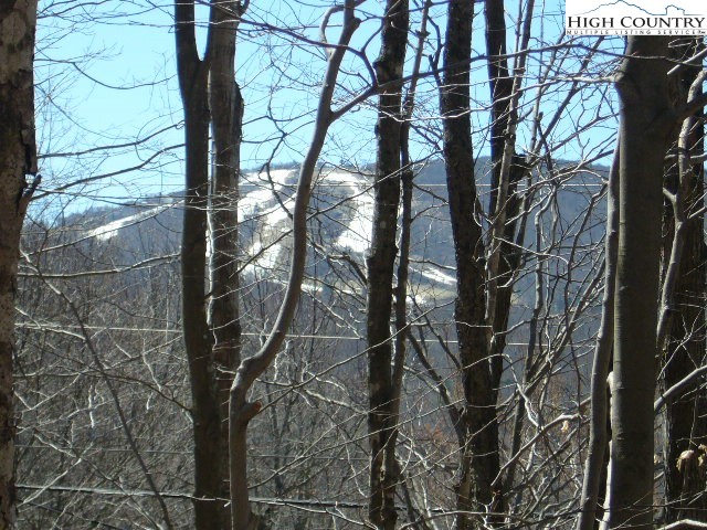 132 Lower Grouse Ridge Road Beech Mountain, NC 28604 - Photo 4 of 5 Gallery Image 4