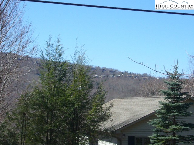 132 Lower Grouse Ridge Road Beech Mountain, NC 28604 - Photo 5 of 5 Gallery Image 5
