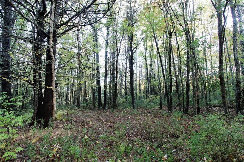 970 Lewiston Road Topsham, ME 04086 - Photo 16 of 22 Photo