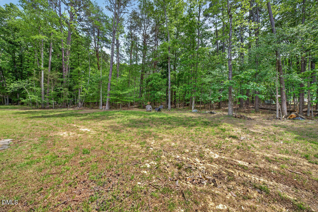 184 Fire Tower Drive Rougemont, NC 27572 - Photo 34 of 41