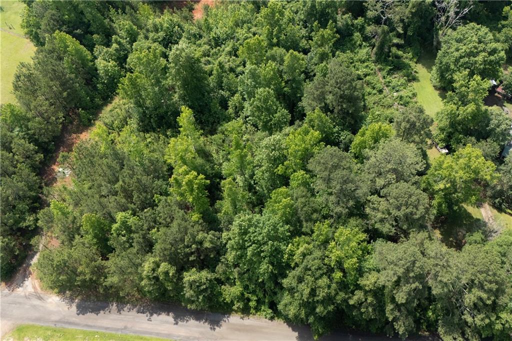0 Ono Road Palmetto, GA 30268 - Photo 10 of 23