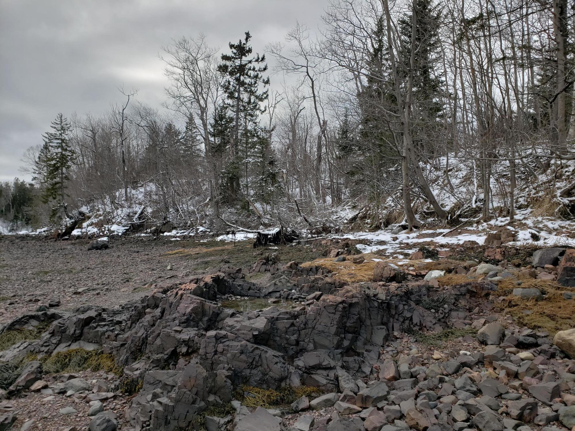 Xx Birch Point Road Perry, ME 04667 - Photo 5 of 10 20210107_124626