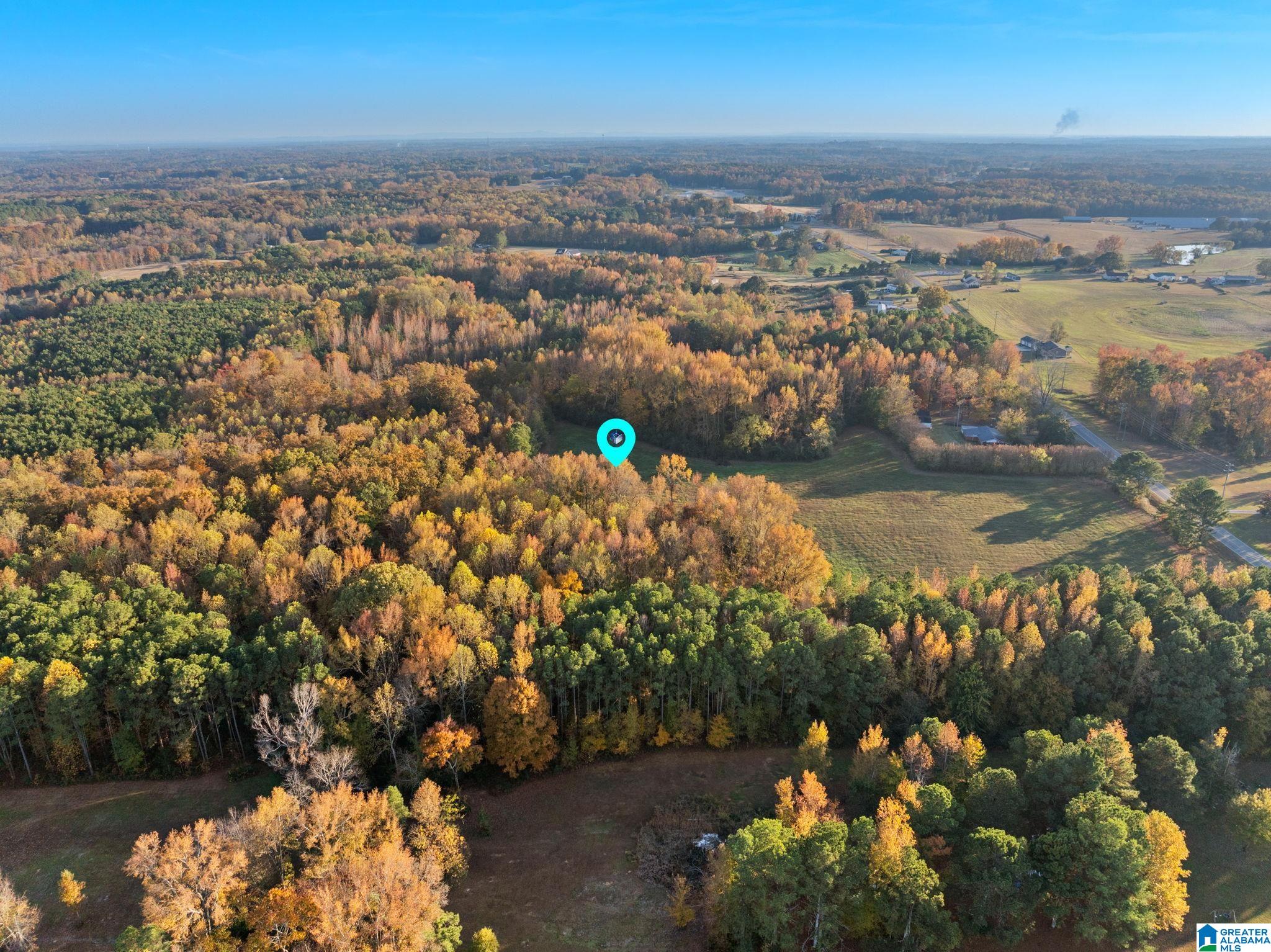 2986 Eva Road Eva, AL 35621 - Photo 15 of 32