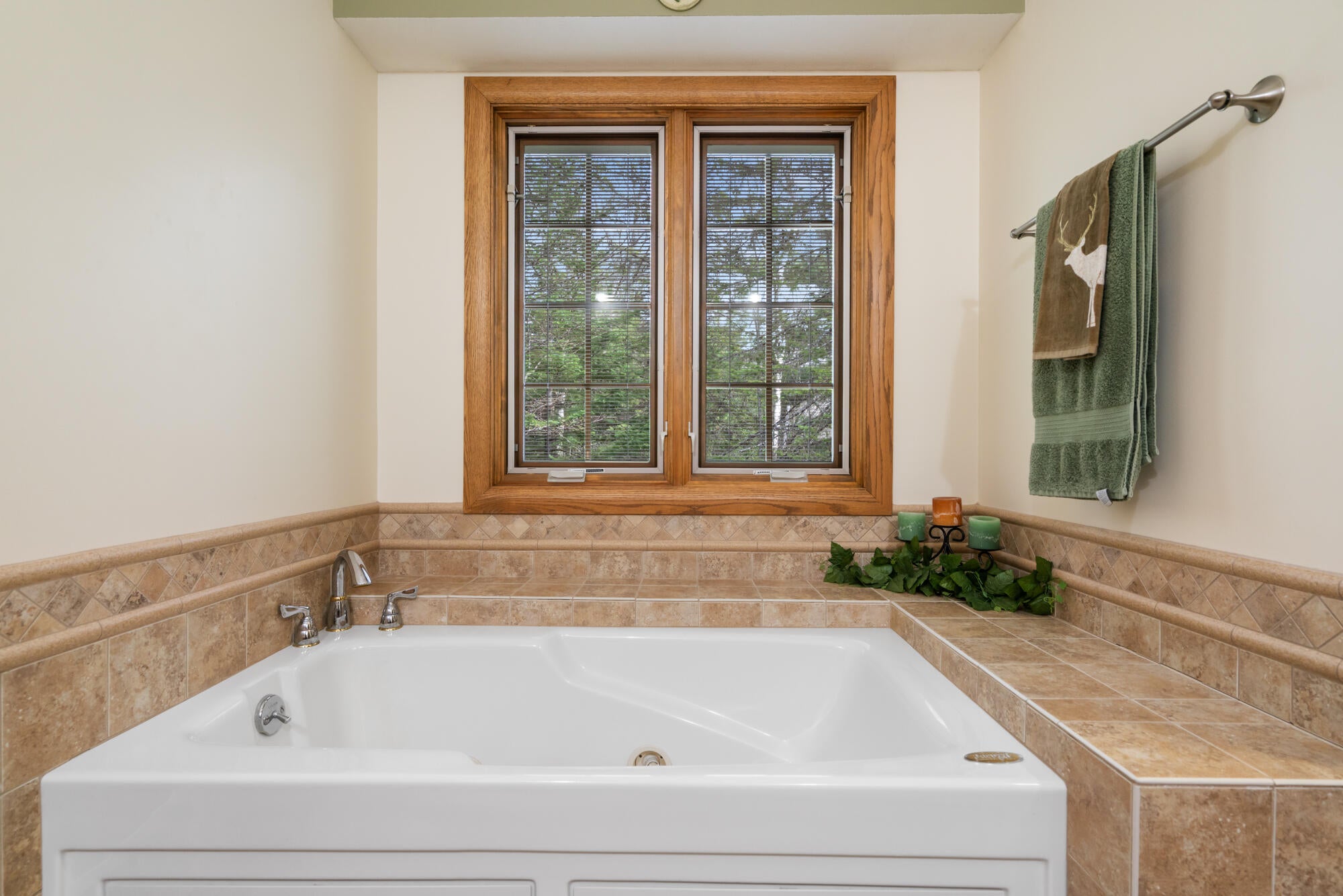 10820 Ingleside Road Levering, MI 49755 - Photo 38 of 61 A7R06967