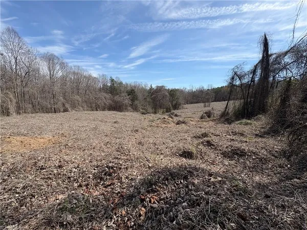 $320,000 | 0 Doll Branch Road, Milton, NC 27305