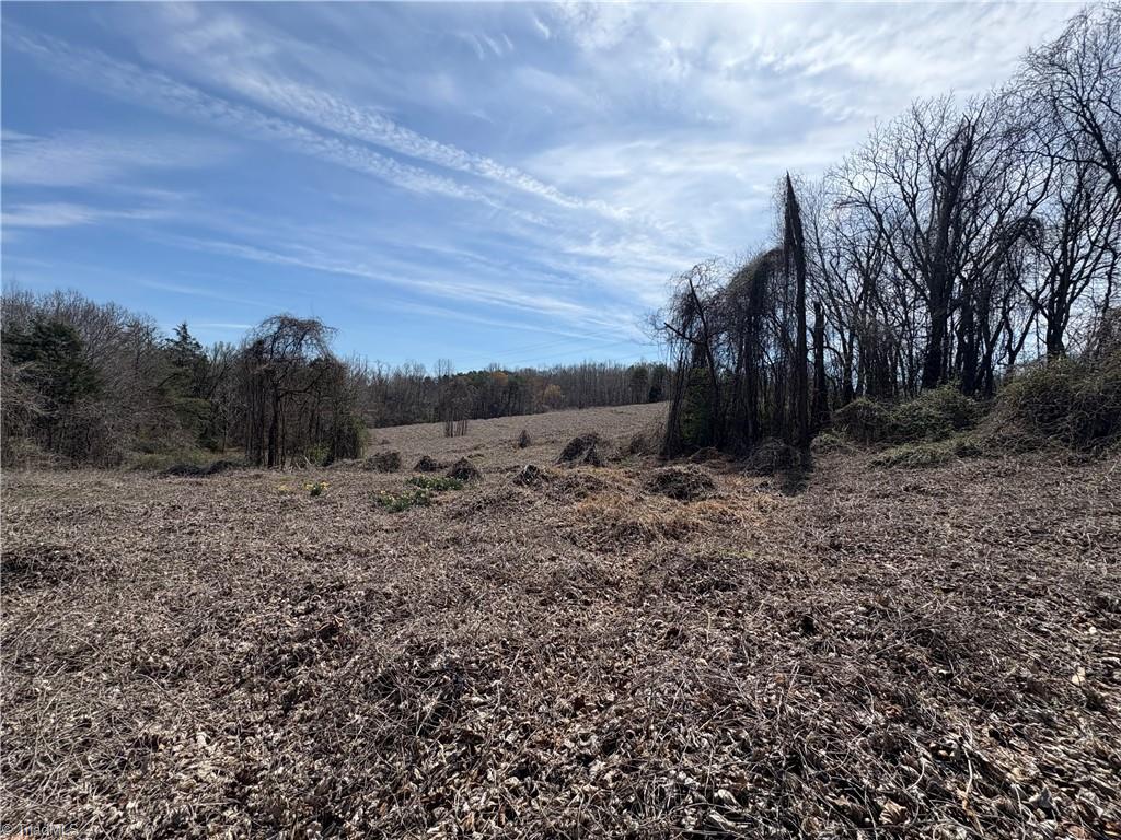 0 Doll Branch Road Milton, NC 27305 - Photo 13 of 39