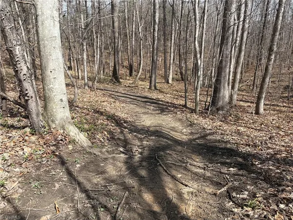 $320,000 | 0 Doll Branch Road, Milton, NC 27305