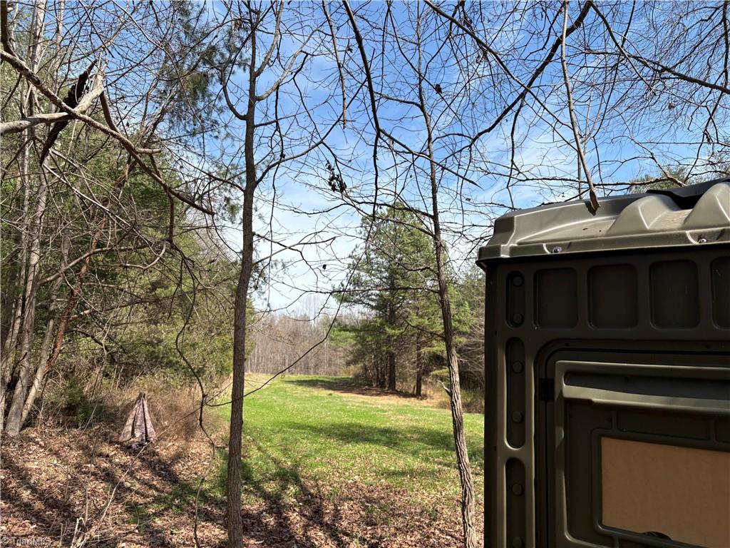 0 Doll Branch Road Milton, NC 27305 - Photo 16 of 39