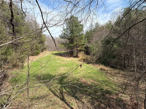 $320,000 | 0 Doll Branch Road, Milton, NC 27305