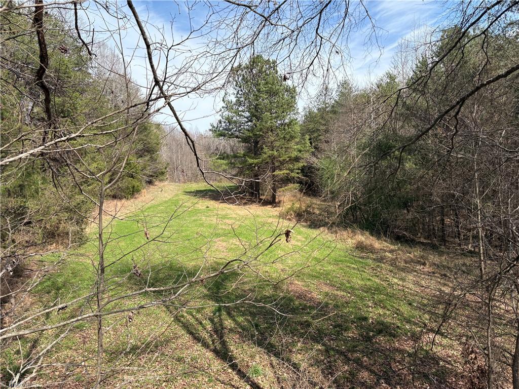 0 Doll Branch Road Milton, NC 27305 - Photo 17 of 39