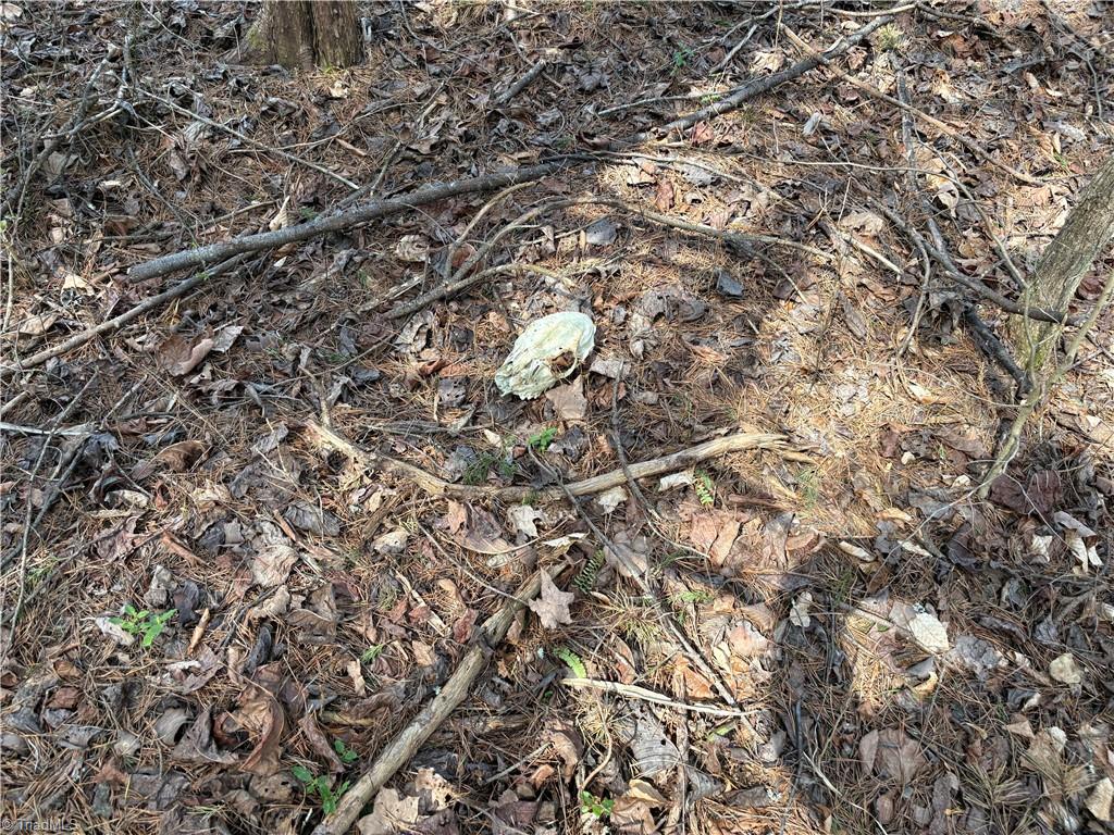 0 Doll Branch Road Milton, NC 27305 - Photo 20 of 39