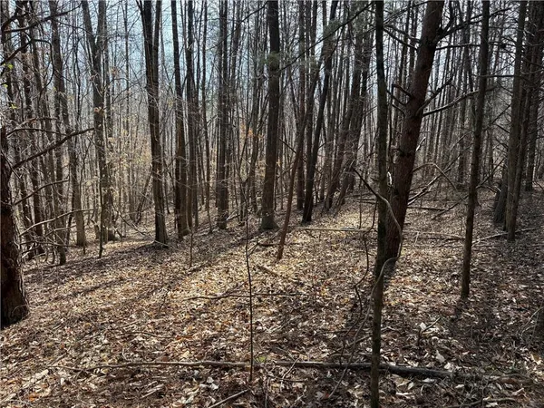 $320,000 | 0 Doll Branch Road, Milton, NC 27305