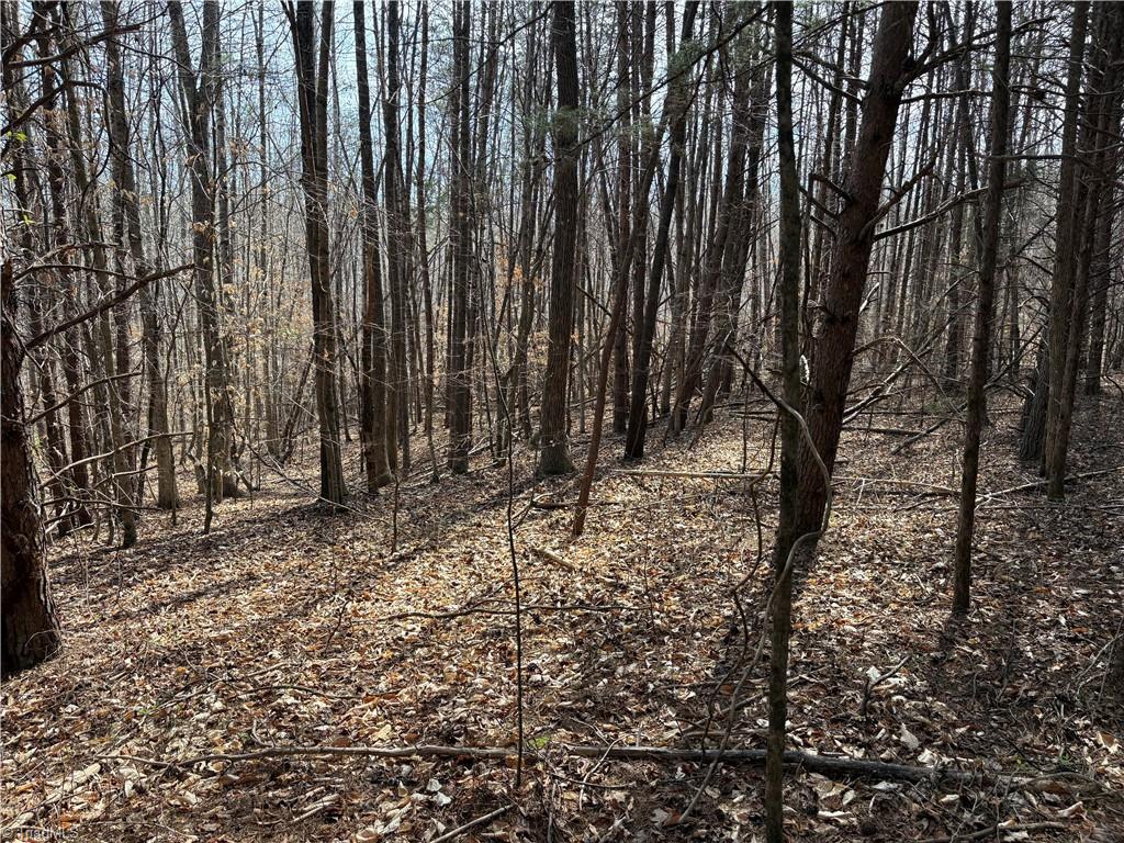 0 Doll Branch Road Milton, NC 27305 - Photo 21 of 39