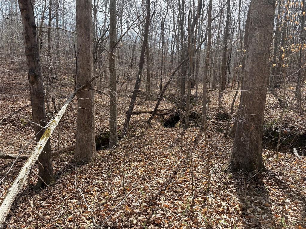 0 Doll Branch Road Milton, NC 27305 - Photo 22 of 39