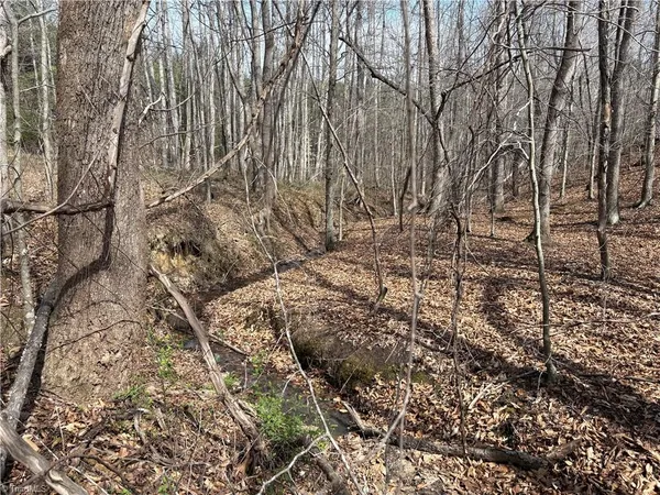 $320,000 | 0 Doll Branch Road, Milton, NC 27305