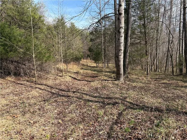 $320,000 | 0 Doll Branch Road, Milton, NC 27305