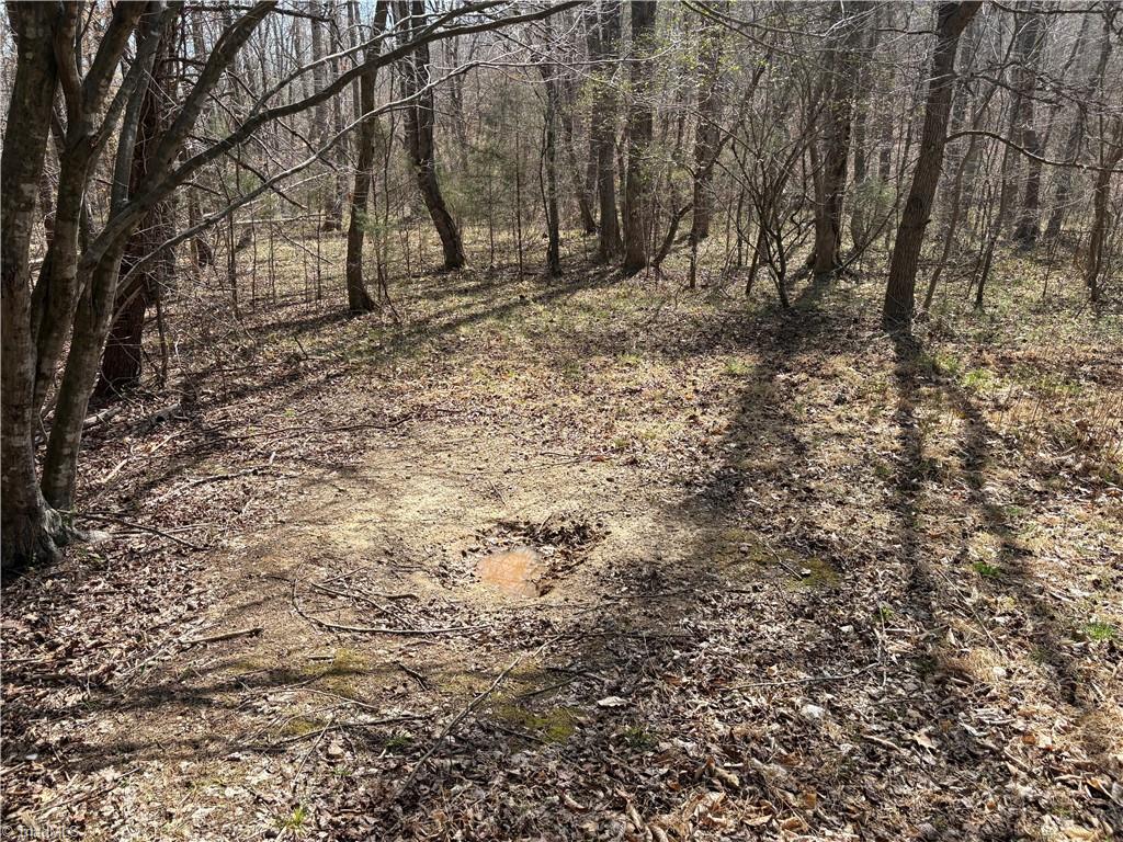 0 Doll Branch Road Milton, NC 27305 - Photo 25 of 39