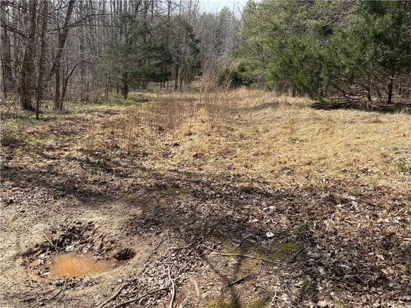 $320,000 | 0 Doll Branch Road, Milton, NC 27305