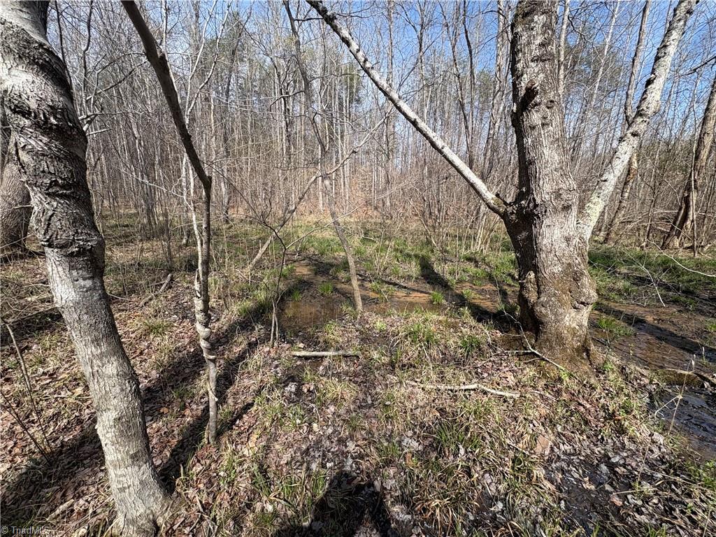 0 Doll Branch Road Milton, NC 27305 - Photo 27 of 39