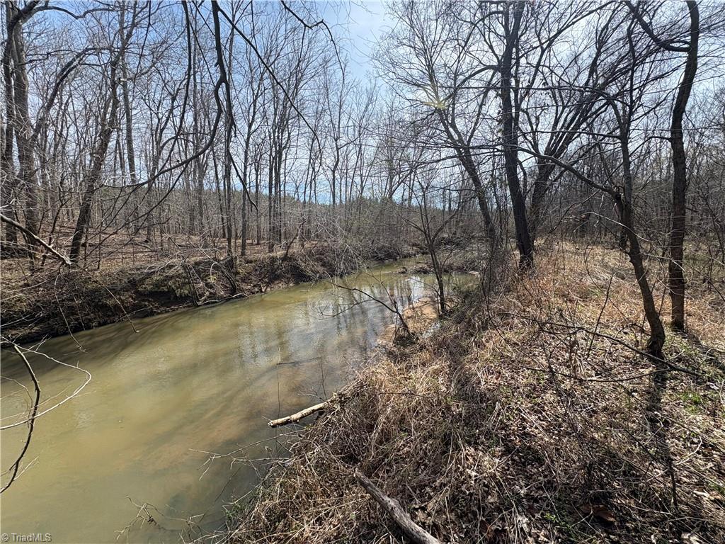 0 Doll Branch Road Milton, NC 27305 - Photo 28 of 39