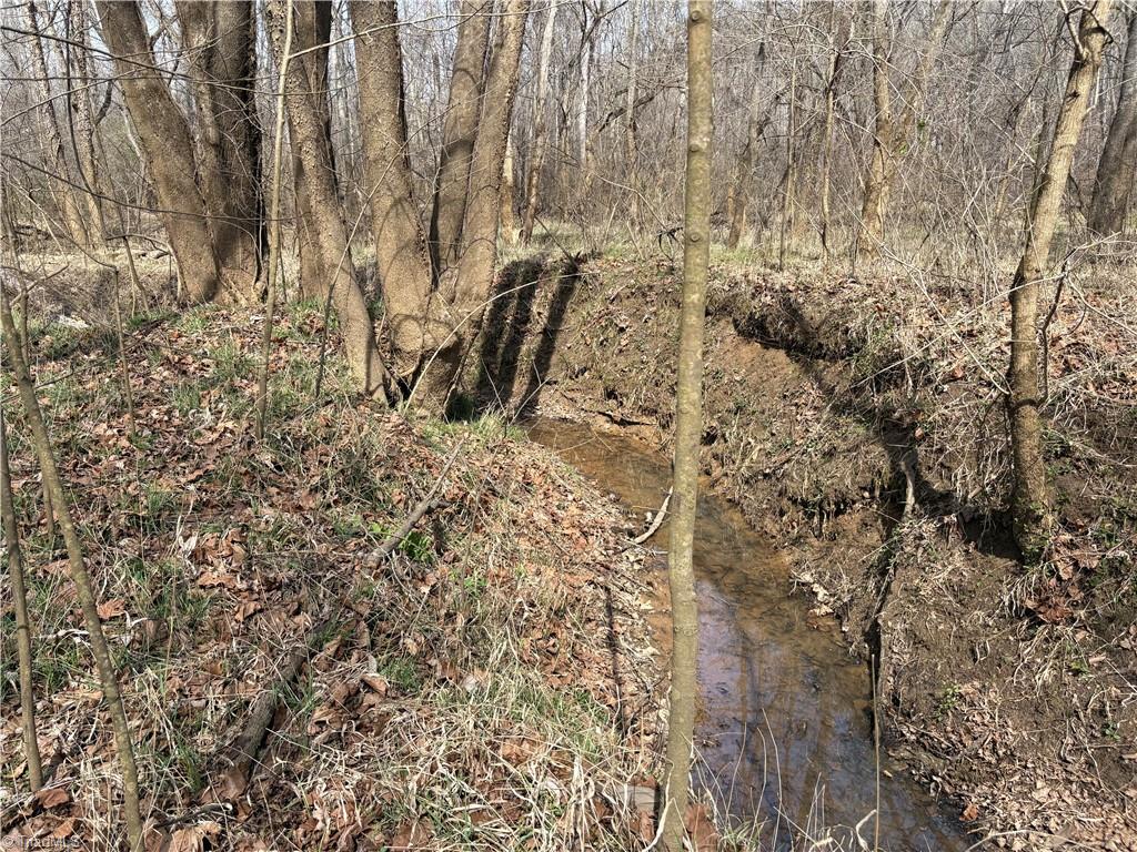 0 Doll Branch Road Milton, NC 27305 - Photo 32 of 39