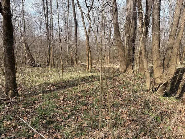 $320,000 | 0 Doll Branch Road, Milton, NC 27305