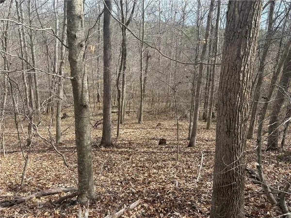 $320,000 | 0 Doll Branch Road, Milton, NC 27305