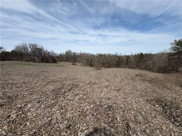 $320,000 | 0 Doll Branch Road, Milton, NC 27305