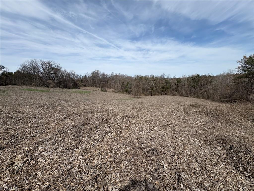 0 Doll Branch Road Milton, NC 27305 - Photo 38 of 39