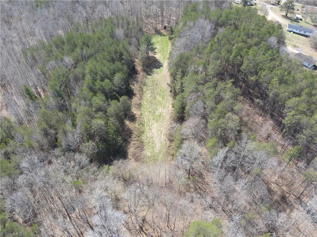 0 Doll Branch Road Milton, NC 27305 - Photo 9 of 39