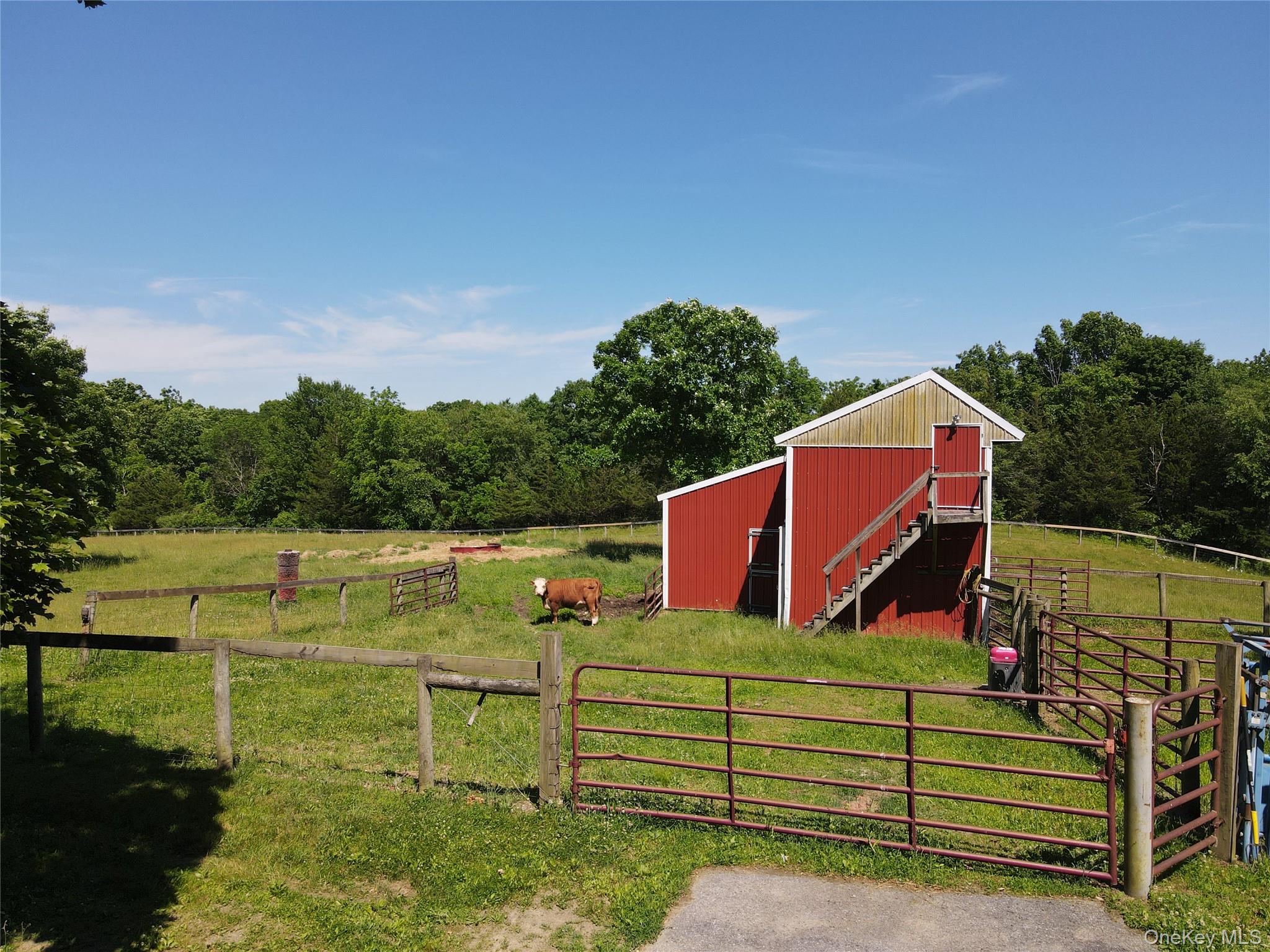 1963 Salt Point Turnpike Salt Point, NY 12578 - Photo 7 of 46 Barn and paddocks