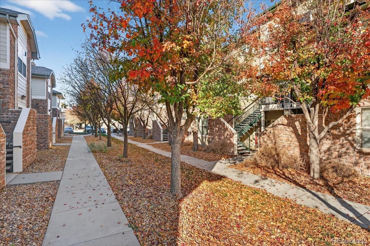 5800 Tower Road, Unit 2411 Denver, CO 80249 - Photo 21 of 28 a view of a backyard with large trees