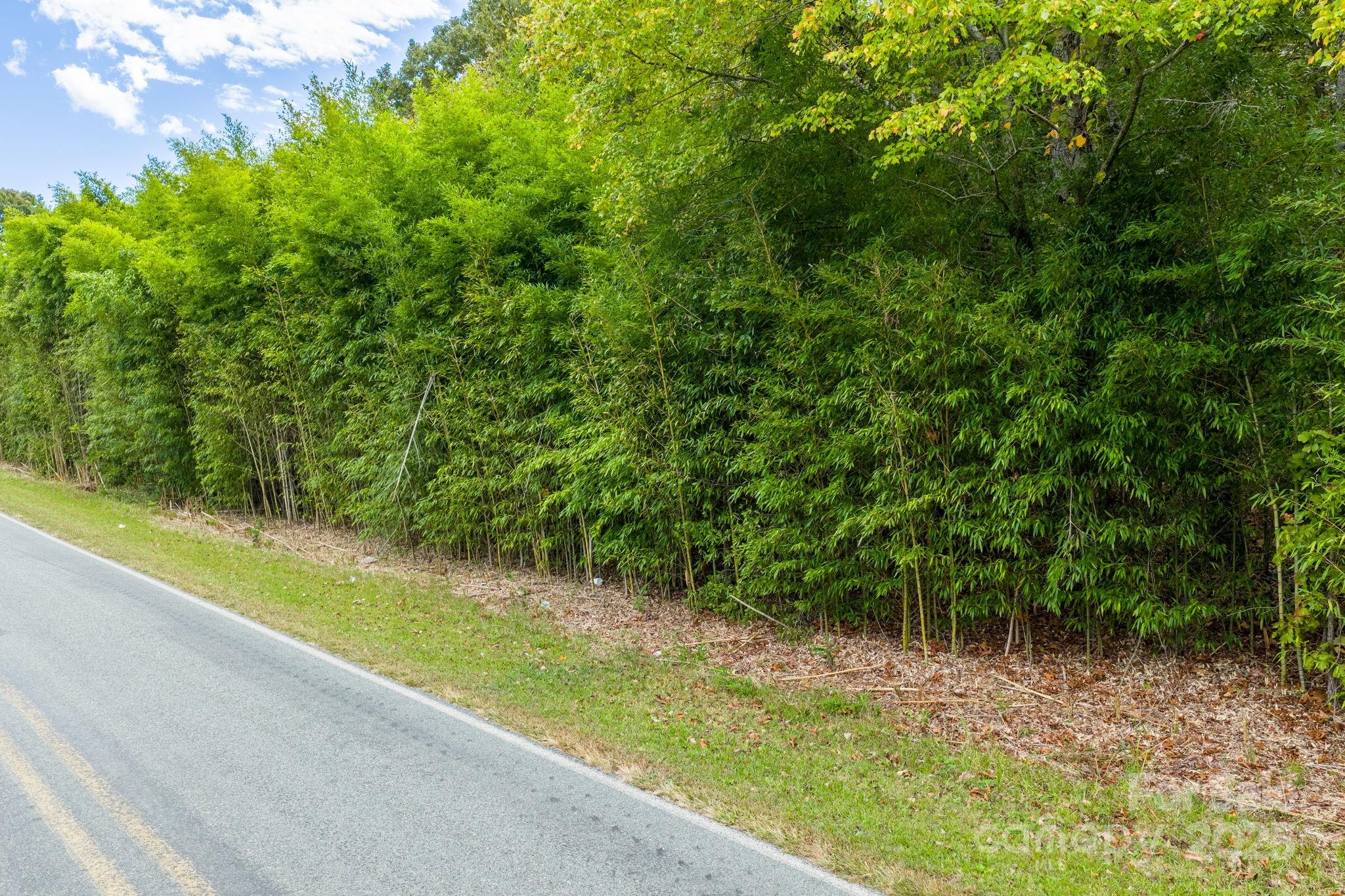 1615 Fox Dairy Road, Unit 12 Newton, NC 28658 - Photo 2 of 35 a view of a yard with a tree