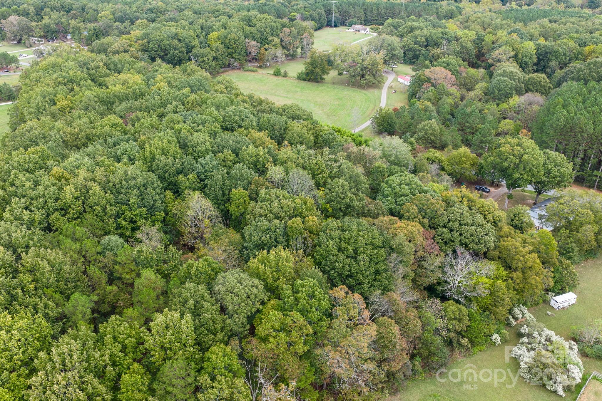 1615 Fox Dairy Road, Unit 12 Newton, NC 28658 - Photo 27 of 35 a view of a lush green forest with lots of trees